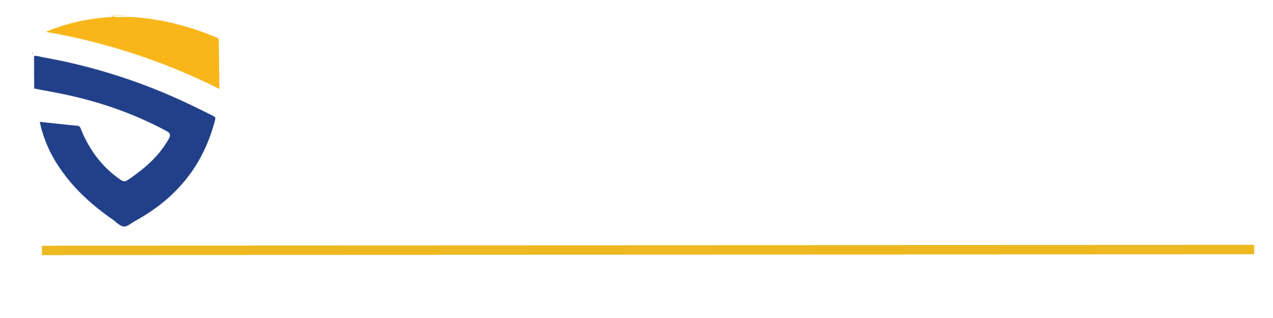 SURAMERICA DE PROTECCIÓN Y SEGURIDAD